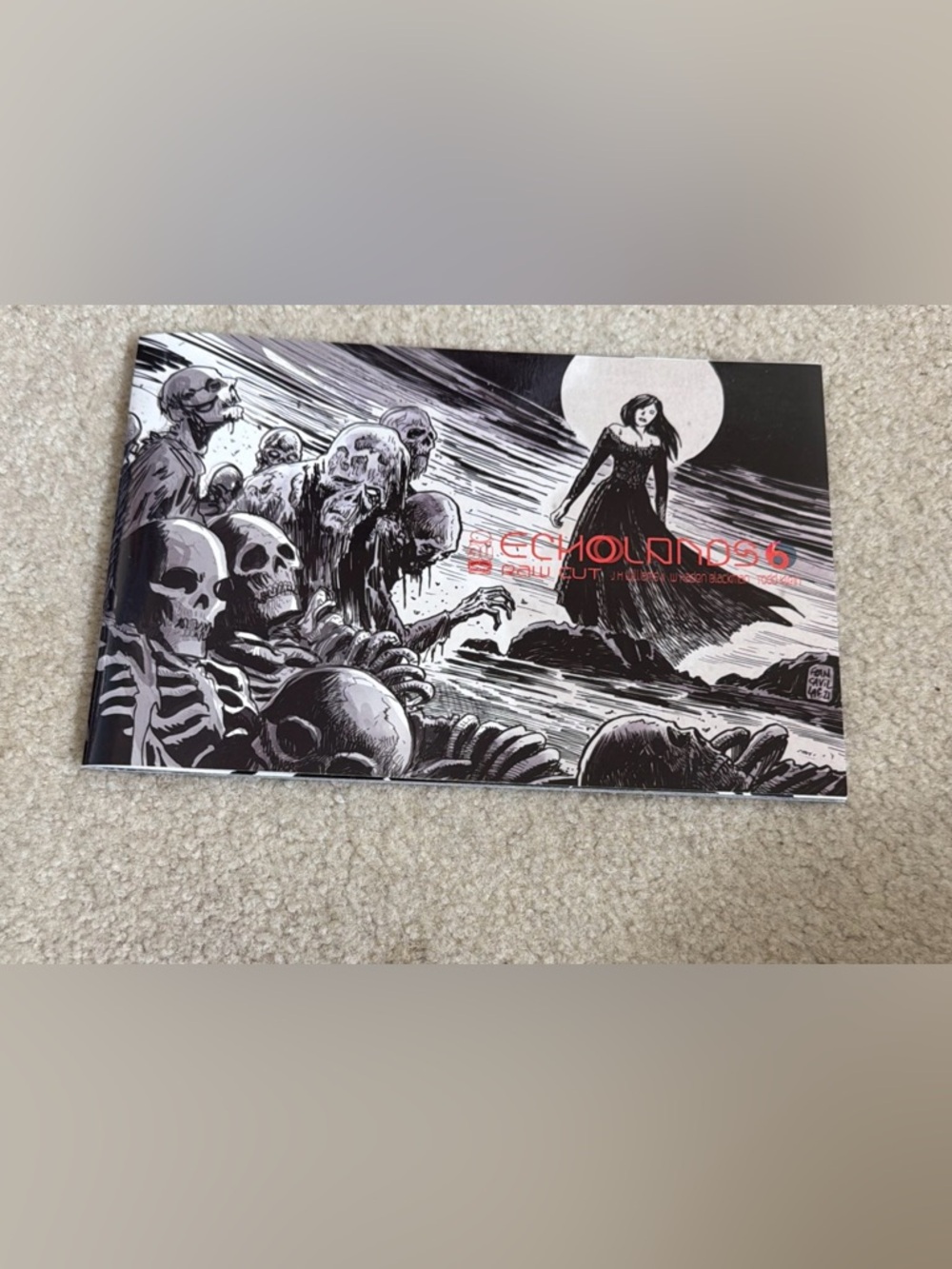 ECHOLANDS: Raw Cut Edition #6b (2022 IMAGE Comics)